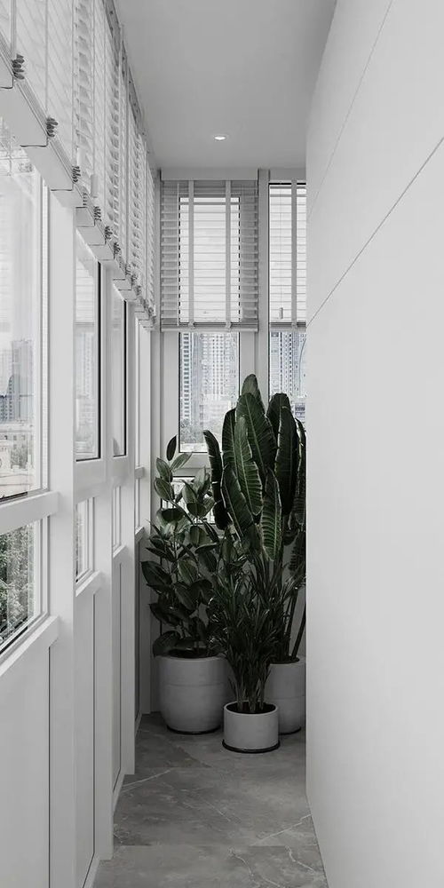 居家窗飾遮陽(yáng)如何選擇