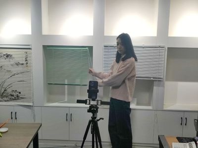 小窗簾撬動(dòng)大產(chǎn)業(yè)，電商連通致富路——窗飾產(chǎn)業(yè)的興旺發(fā)展與電商轉(zhuǎn)型之路