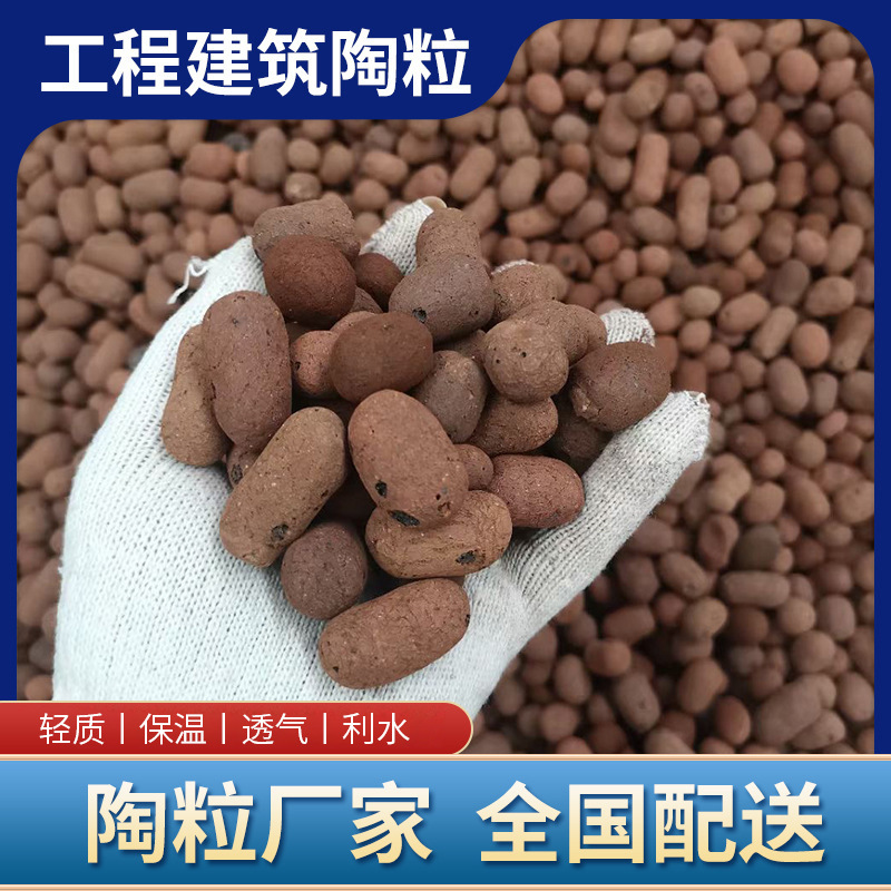 陶粒在園藝中的多功能應用 從多肉土墊底到工程回填