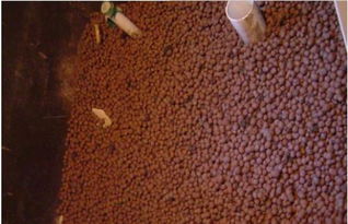 深圳哪家建材廠家工程陶粒報(bào)價(jià)較低？采購(gòu)指南與廠家推薦